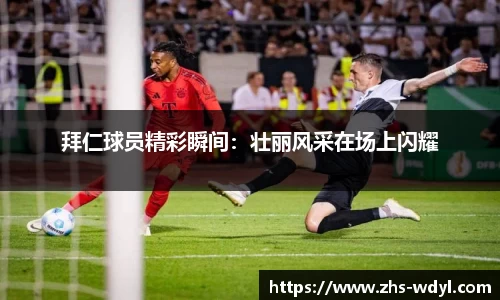问鼎娱乐